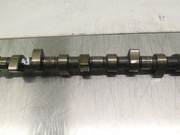 VOLKSWAGEN BSX CADDY III Box (2KA, 2KH, 2CA, 2CH) 2006 Camshaft