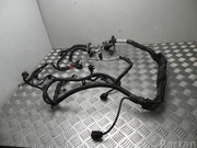 JEEP P68145816AD GRAND CHEROKEE IV (WK, WK2) 2014 Engine harness