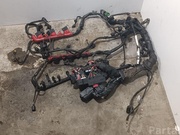 AUDI 8K1971072KQ, 06E971822D, 06E971821E Q5 (8R) 2010 Engine harness