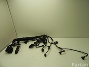 BMW 7843326 5 (F10) 2012 Engine harness