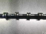 AUDI BLB A6 (4F2, C6) 2006 Camshaft