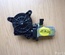 DACIA D3710, 01-M13616-C00, 01M13616C00 / D3710, 01M13616C00, 01M13616C00 SANDERO 2014 Window lifter motor Right Front