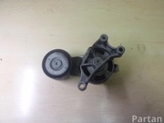 AUDI 06F 903 315, 06F903315 / 06F903315, 06F903315 TT (8J3) 2007 Belt Tensioner (Tensioner Unit)