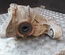 MERCEDES-BENZ A1663510205 M-CLASS (W166) 2014 Rear axle differential