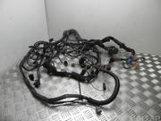 AUDI 4E1 971 713 CM / 4E1971713CM A8 (4E_) 2007 Engine harness