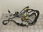 TESLA AG130724G MODEL S 2013 Harness for interior