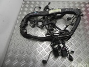 MERCEDES-BENZ A 651 010 19 11 / A6510101911 C-CLASS (W204) 2012 Engine harness