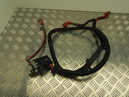 LAND ROVER AH22-10B680-AA / AH2210B680AA DISCOVERY IV (L319) 2011 Harness for battery