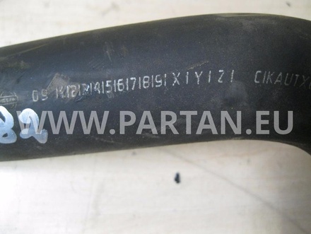 NISSAN QASHQAI / QASHQAI +2 I (J10, JJ10) 2008 Radiator Hose