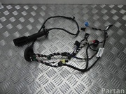 VW 3G1 971 121 H / 3G1971121H PASSAT (3G2) 2015 Harness for interior