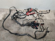 AUDI 8K0971824, 8K1937503B, 8K0906379A, 8K1971871, 8K0973805 Q5 (8R) 2013 Engine harness