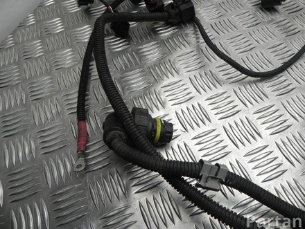 BMW 7598741 X3 (F25) 2011 Engine harness